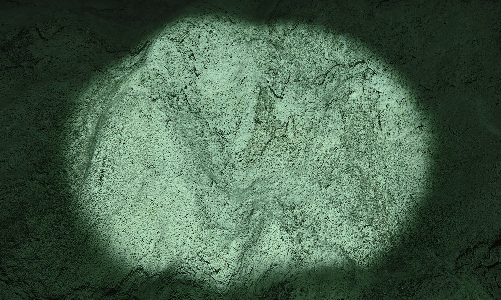 Spotlight Node Acquisition Spotlight Node Acquisition