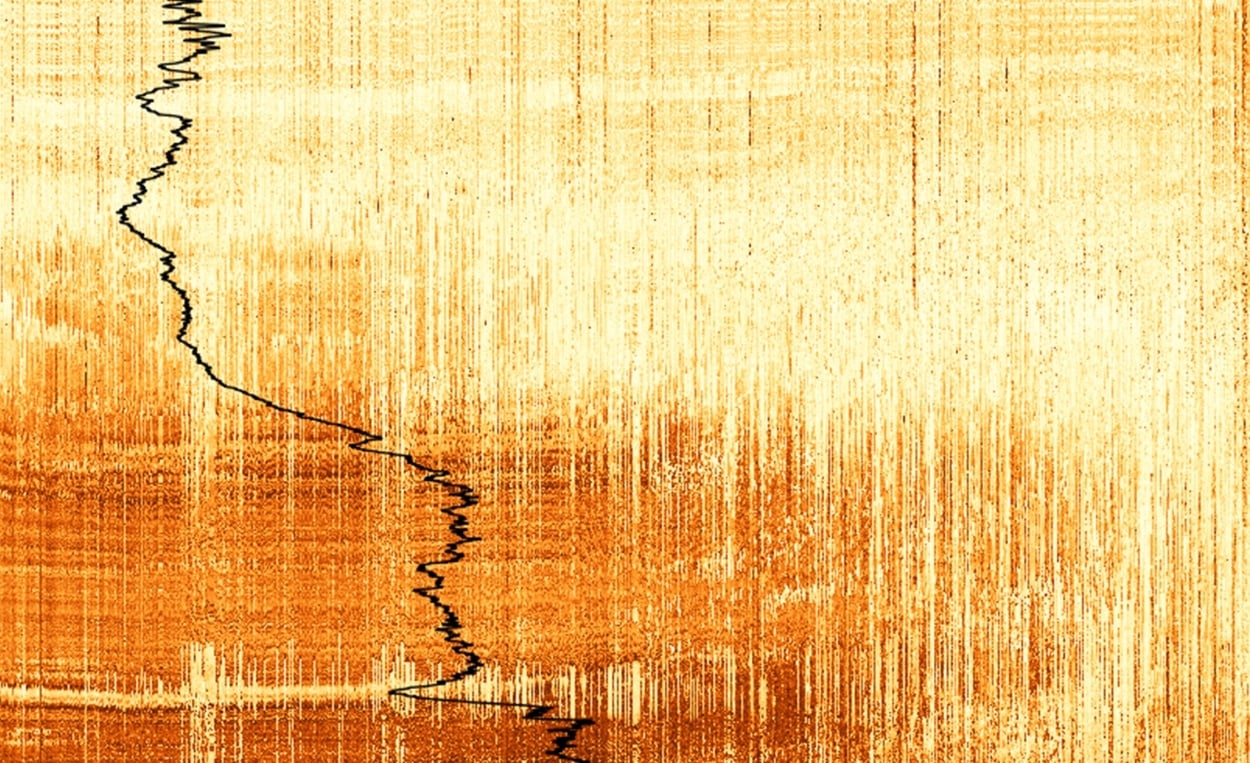 TGS_WDP_AAPG White Paper Web Images TGS_WDP_AAPG White Paper Web Images