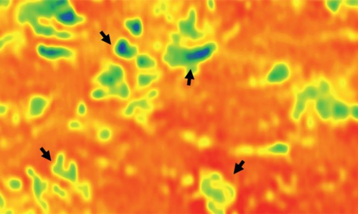 TGS_Onshore_FWI TGS_Onshore_FWI