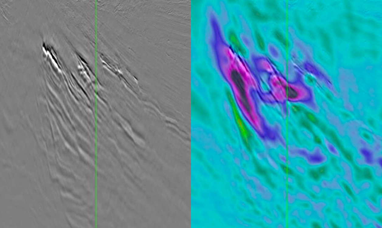 TGS_website_4DFWI_thumb